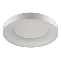 потолочный светодиодный светильник odeon light sole 4062/80cl в Казани