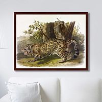 картина: jaguar, 1841г. в Казани