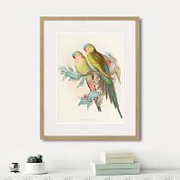 картина: love parrots, 1850г. в Казани