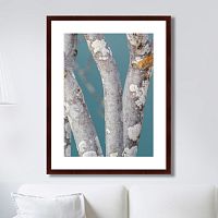 картина: trees on the galapagos islands, ecuador no1 в Казани