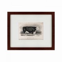 картина: a hereford bull, 1849 в Казани