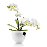 горшок для орхидеи orchid pot белый в Казани