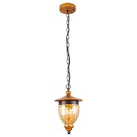 подвесной светильник arte lamp catena a6711sp-1br в Казани