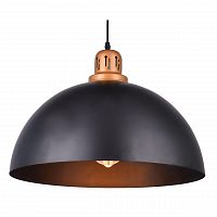 подвесной светильник arte lamp eurica a4249sp-1bk в Казани