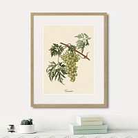 картина juicy fruit lithography №13, 1870 г., 42х52 см в Казани