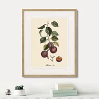 картина: juicy fruit lithography №6, 1870г. в Казани