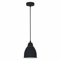 подвесной светильник arte lamp braccio a2054sp-1bk в Казани