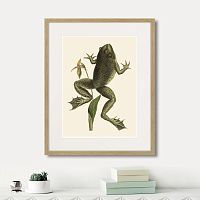 картина: big jumping frog, 1745г. в Казани