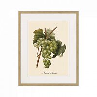 картина juicy fruit lithography №13-1, 1870 г., 42х52 см в Казани