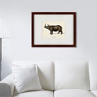 картина: rhinoceros ancienne gravure, 1849 в Казани