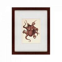 картина: pacific octopus, 1731 в Казани