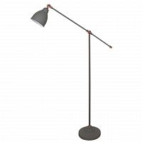 торшер arte lamp braccio a2054pn-1gy в Казани