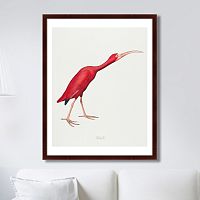 картина: scarlet ibis, 1827г. в Казани