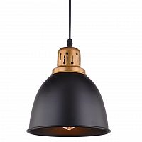 подвесной светильник arte lamp eurica a4245sp-1bk в Казани