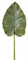 декор giant taro leaf в Казани