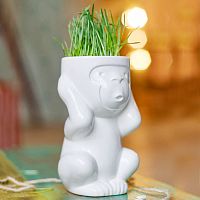 горшок для растений eco игнорик в Казани