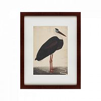 картина: black stork in a landscape, индия, 1780 в Казани