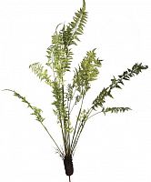 декор fern plant в Казани