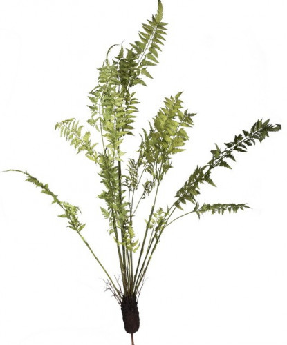 декор fern plant в Казани