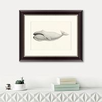 картина: bowhead whale (balaena mysticetus), 1856 в Казани