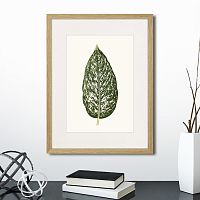 картина: single leaf of a plant №1, 1865г. в Казани