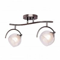 потолочная люстра silver light sfera 255.59.2 в Казани